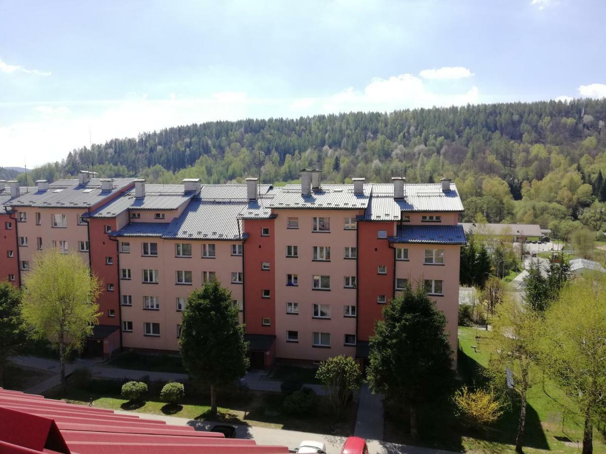 Apartamenty Bieszczadzki Aniol 下乌斯奇基 外观 照片